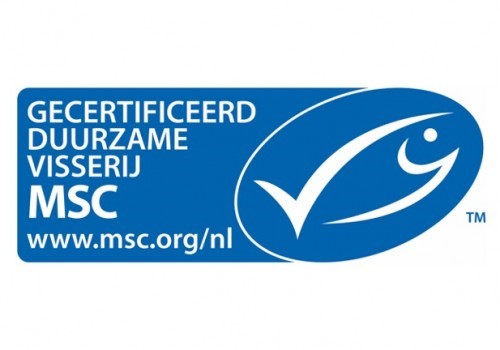 MSC