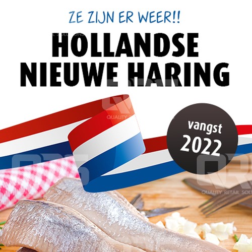 Hollandse haring 2022 500x 1