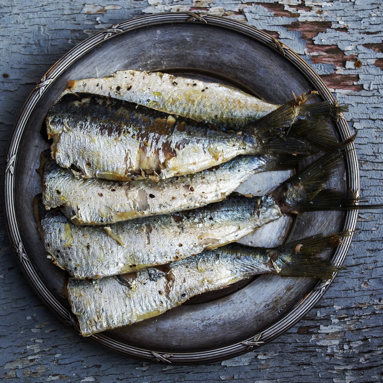 sardines 500x500