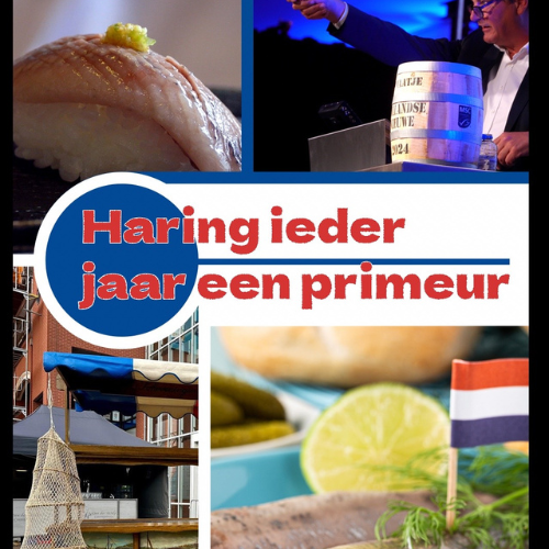 rtl documentaire Haring