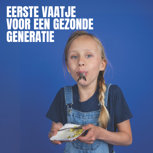 aankondiging veiling vaatje